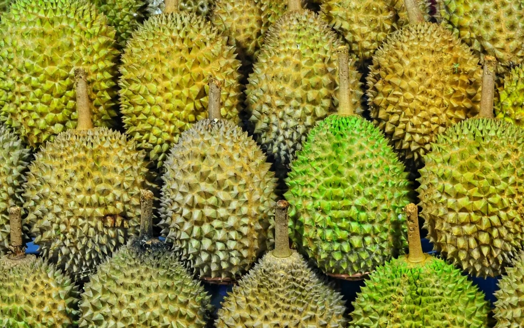 Le Durian : Découvrez ce fruit exotique à forte odeur
