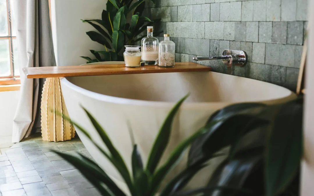 Plantes idéales pour salle de bain : guide simple et efficace