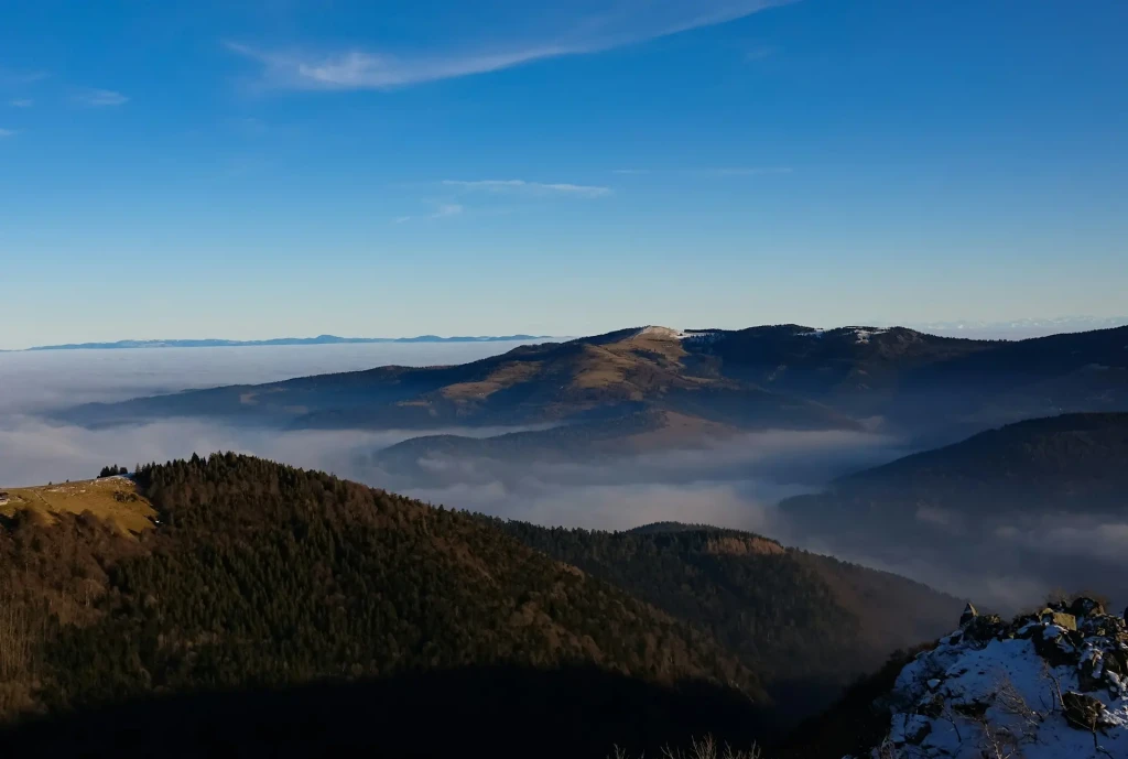 69c56a5215c001774545490