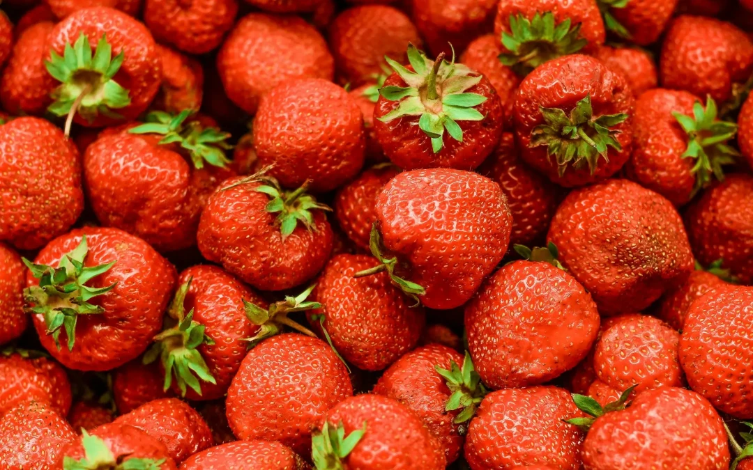 Rappel fraises Grand Frais et Fresh : Alerte aux pesticides